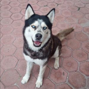 Meet your Posher, Sandy